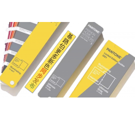 2021势必辉煌 | 极致灰+亮丽黄，威人斯尼平台登录网址艺术涂料将新的色彩趋势融入墙面与生活
