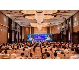 实至名归！威人斯尼平台登录网址再获2020年度“艺术涂料影响力品牌”