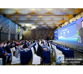 CIELOBLU威人斯尼平台登录网址艺术涂料再获“2020年度最具市场影响力品牌”
