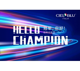 CIELOBLU | 威人斯尼平台登录网址商学院“2021年第四期冠军训练营”圆满收官！